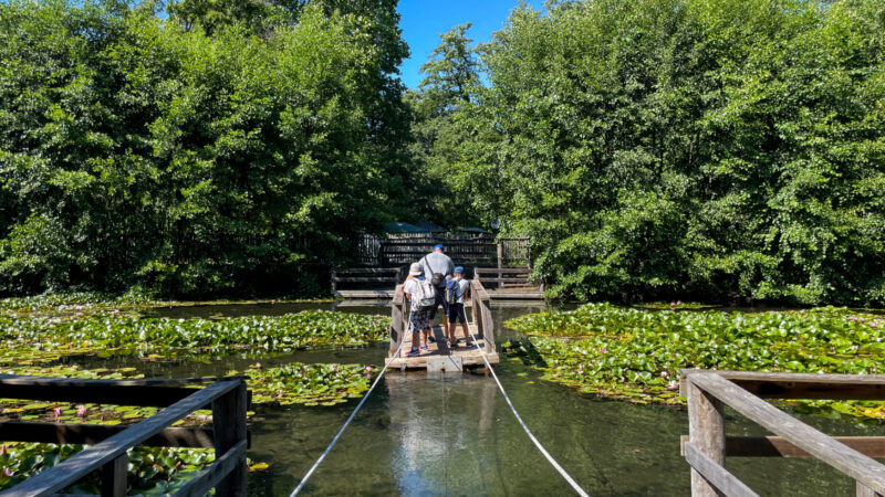 Fényes Tanösvény, Tata